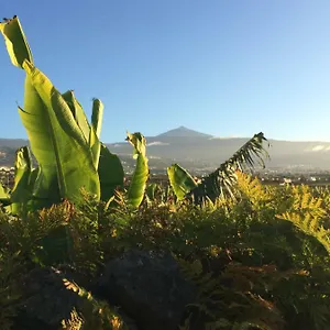 La Plantacion _agroturismo , La Orotava Espagne